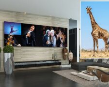 LG Extreme Home Cinema - це найбільший в світі екран DVLED-телевізора, він навіть вище жирафа