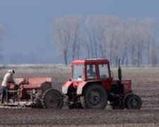 У Запоріжжі три місяці немає дощів