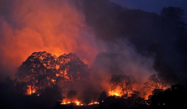 Восемь тысяч спасателей тушат пожар в Калифорнии (фото)