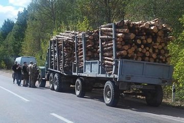 Семенченко виявив незаконну вирубку лісу в Житомирській області (фото)