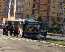 Автобус в Києві провалився колесами під землю (фото)