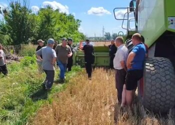 Рейдерский захват в селе Рихальское