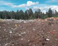 Звалище, фото: скріншот з відео