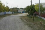 Вив по-вовчому і не впізнавав людей: франківські чиновники відхрестилися від маленького Мауглі, "все перебільшили"