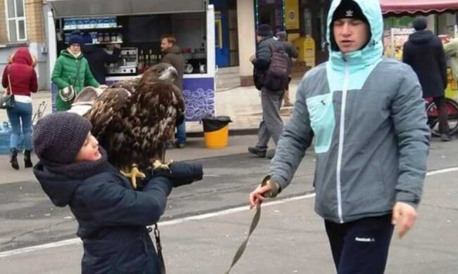 Фото з тваринами, Інформатор