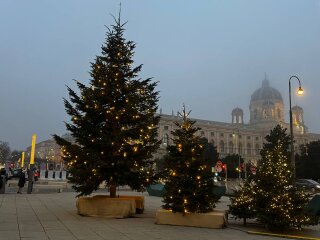Путешествие, фото: Знай.ua