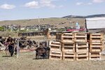 Тіла окупантів, фото: вільне джерело