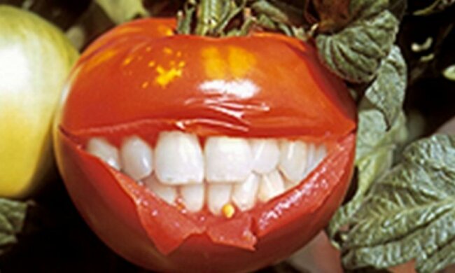 Генномодифіковані люди можуть незабаром з'явитись у США