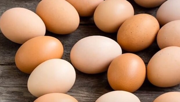 Яйца. Фото: скриншот youtube