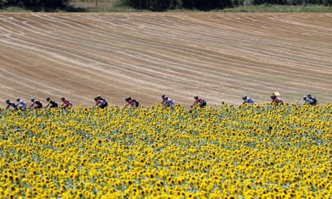 Тур де Франс: Фрум вернул себе желтую майку после четырнадцатого этапа