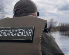 Уничтожены леса и отравленные реки: экоинспекторы разоблачили самые громкие экологические преступления недели