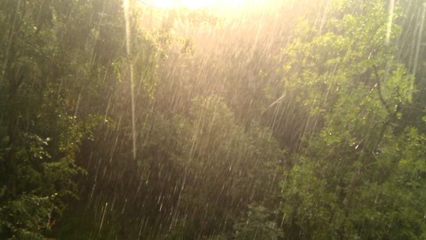 Погода на 30 мая: стихия устроит украинцам контрастный душ