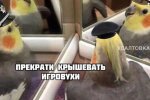 Українці не витримали закриття грального бізнесу: кумедні фотожаби піднімуть настрій кожному