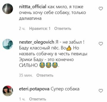 Коментарі до публікації, скріншот: Instagram