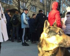 Убийство во имя моды: украинцы начали борьбу с "кровавым жлобством"