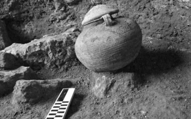 Археологи пояснили, чиї кістки виявилися в горщику