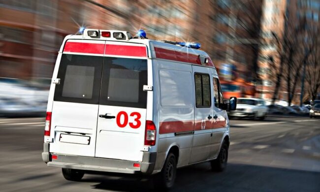 Бережіть малюків: у Києві розкидають отруту під виглядом ласощів
