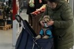 Скріншот з відео