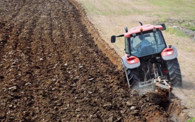 Земельная реформа грозит Украине катастрофой