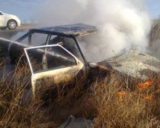 На Херсонщині автомобіль врізався у дерево та згорів (фото)