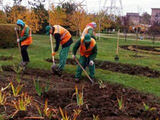 В Запорожье появятся новые цветы, фото: КП Зеленстрой