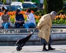 Пенсіонерка на вулиці