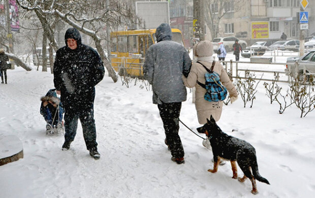 Мокрий сніг та штормовий вітер: Харків атакує люта стихія 22 січня