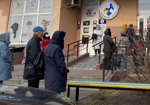 Украинцы, фото: znaj.ua