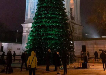 Главная елка страны-2026, Софиевская площадь, фото: Знай.ua
