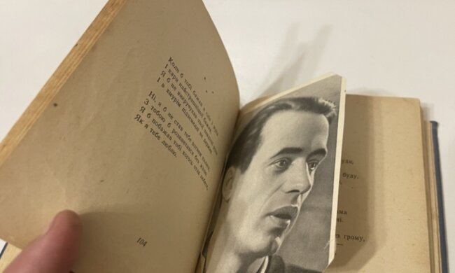 "Тиша і грім" Василия Симоненка / фото: Violity