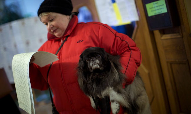 "Очень правильно. Кому жить и работать, тому и выбирать будущее.", - украинцы просят отобрать у пенсионеров право голоса