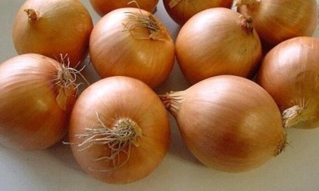 Україна експортує рекордні об’єми цибулі