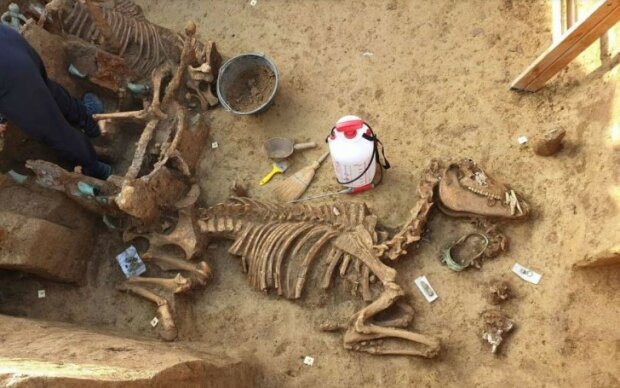 Археологи оторопіли від 2000-річної знахідки: вражаючі кадри