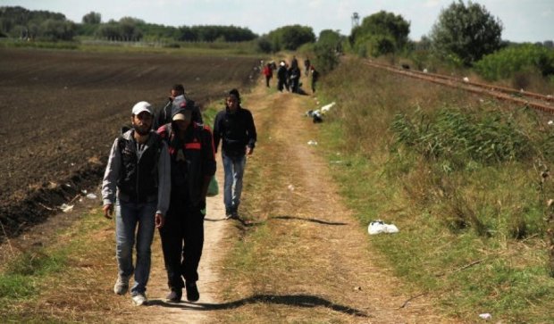 В Венгрии задержали переправлявшего беженцев уроженца России