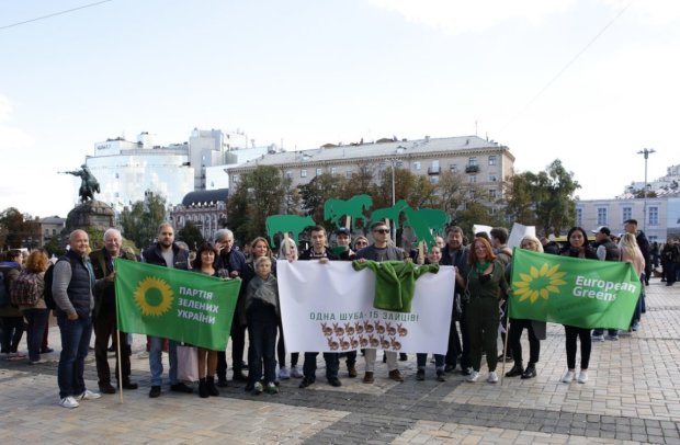 Украина в зоне турбулентности: Партия Зеленых сделала срочное заявление