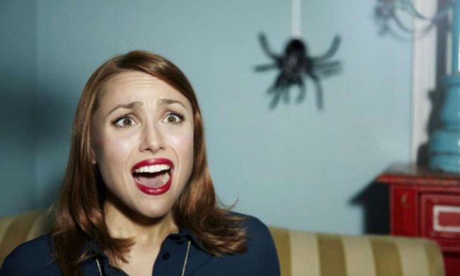 Непрошенные гости: как прогнать пауков из дома