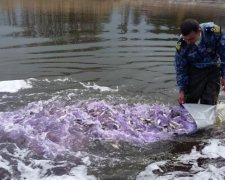 Одна з українських областей на межі екологічної катастрофи