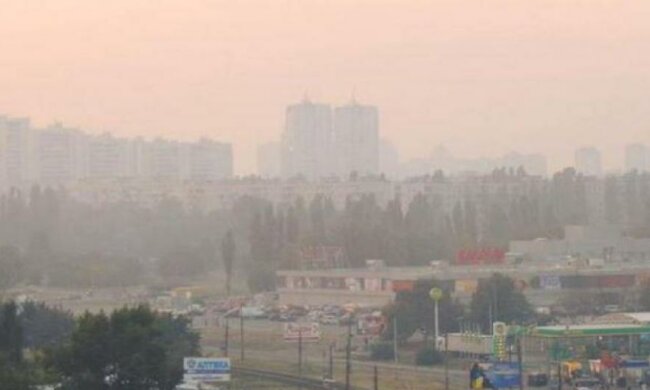 Левый берег Киева затянуло дымом от лесного пожара