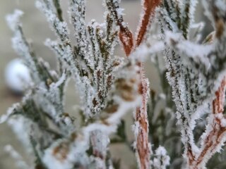 Морозні візерунки, фото: Укргідрометцентр