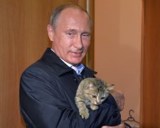 Путін з котеням, яке намагається від нього втекти