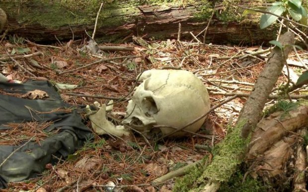 Лес самоубийц: где находиться самое жуткое место на земле