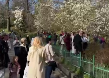 Украинцы, кадр из видео