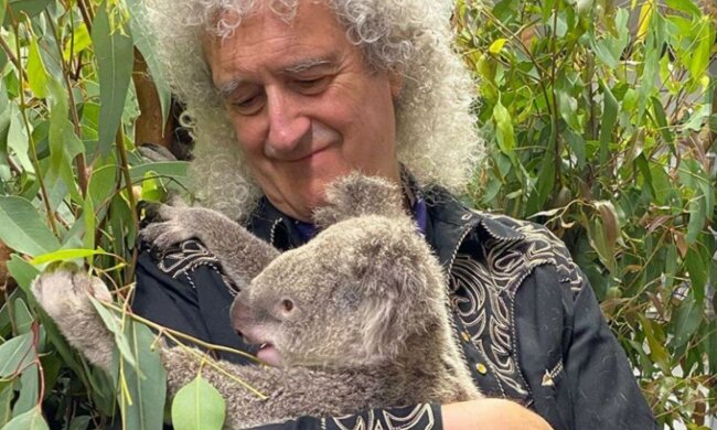 Легендарный гитарист группы Queen вылечил спасенную коалу сольным концертом