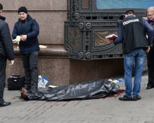 Специалисты проанализировали видео момента убийства Вороненкова