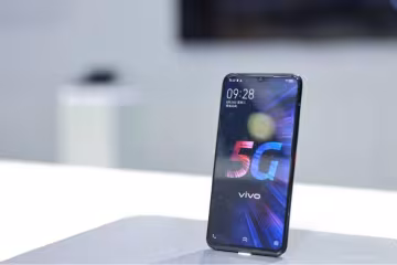 Vivo