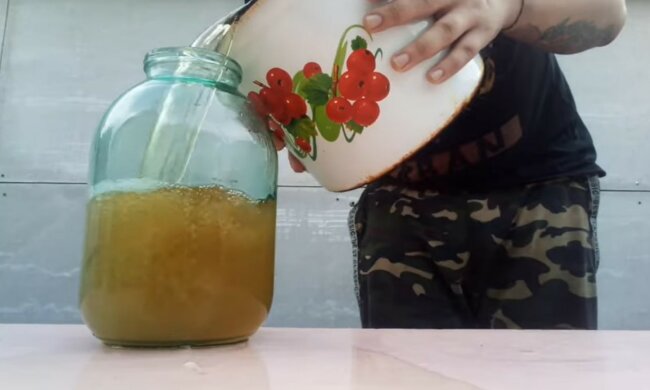 Настоящая медовуха: рецепт для ценителей терпкого, но мягкого напитка