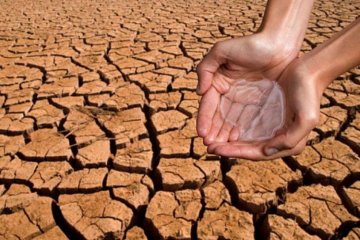 Художники вирішили глобальну проблему людства