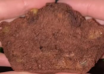 Шоколадные кексы по вкусу как мишки Барни: фото скрин рецепта