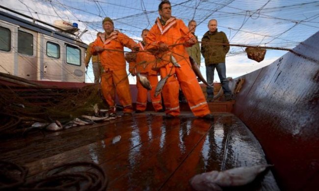 Таємниці морського дна: вчені знайшли рибу-пельмень, і ще щось дуже страшне