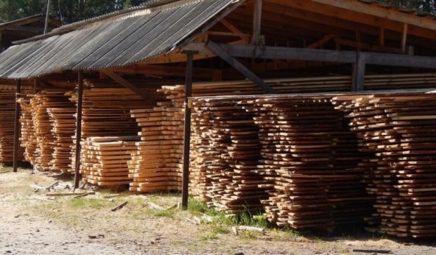 Житомирские "дельцы" экспортировали нелегальную древесину